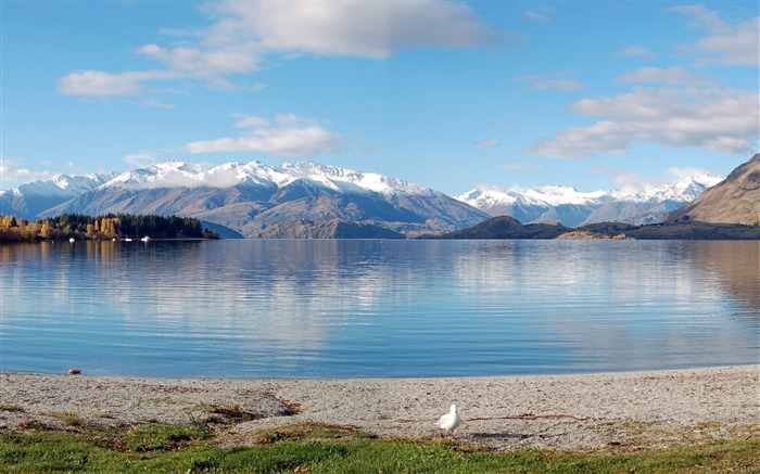 montañas nevadas lago-Paisaje fondo de pantalla HD Vistas:7876