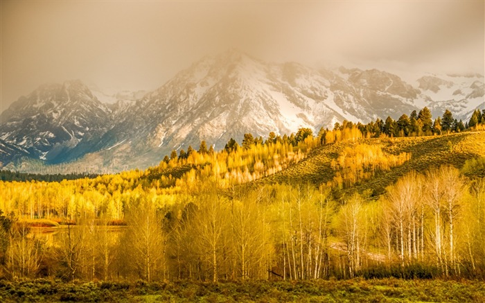 montanhas de outono de wyoming - papel de parede de alta qualidade Visualizações:6543