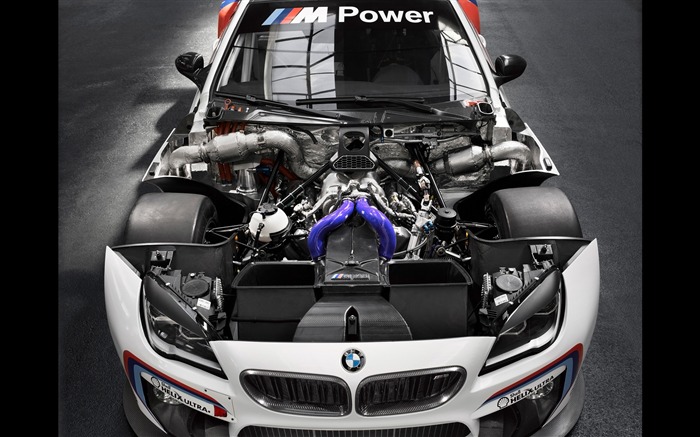 2016 BMW M6 GT3 자동의 HD 벽지 16 찾아보기 :9794