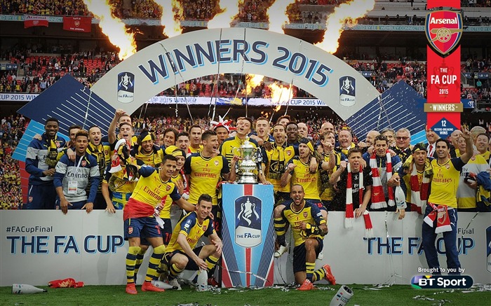 FA Cup 2015 gagnants-Football Fonds d'écran Vues:7426