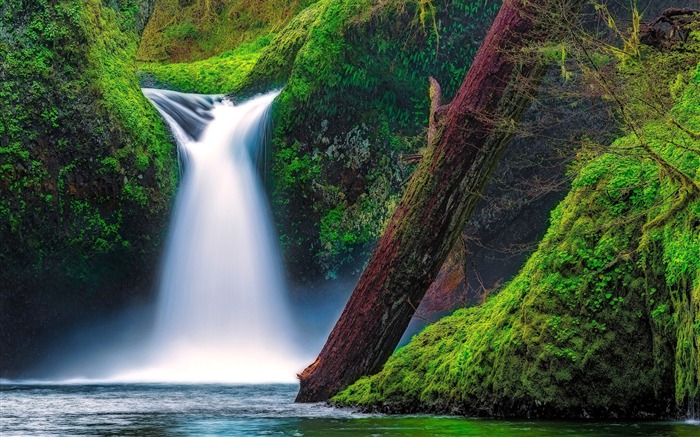 Falls river gorge oregon-Travel HD Wallpaper Views:8292 Date:2015/11/9 5:43:27