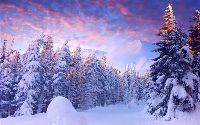 Foggy winter sunrise mountains-2015 Landscape Wallpaper Views:8496 Date:2015/11/8 1:50:23