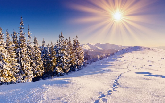 Footprints in the snow-2015 Landscape Wallpaper Views:9634 Date:2015/11/8 1:51:07