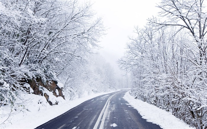 Forest cold winter road-2015 Landscape Wallpaper Views:9239 Date:2015/11/8 1:48:39