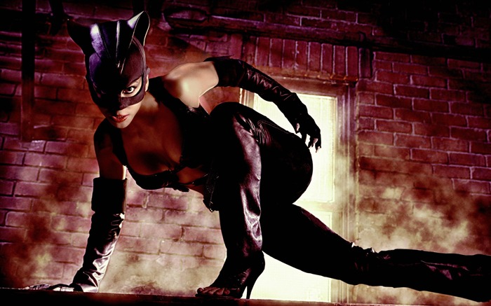 Halle berry catwoman-Latest Movie Wallpaper Views:13115 Date:2015/11/1 1:57:52