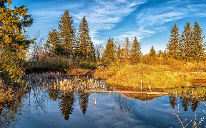 Lac arbres forestiers d'automne-HD Widescreen Fond d'écran Vues:9183