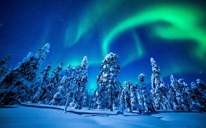 Northern lights forest winter-2015 Landscape Wallpaper Views:10821 Date:2015/11/8 1:55:32