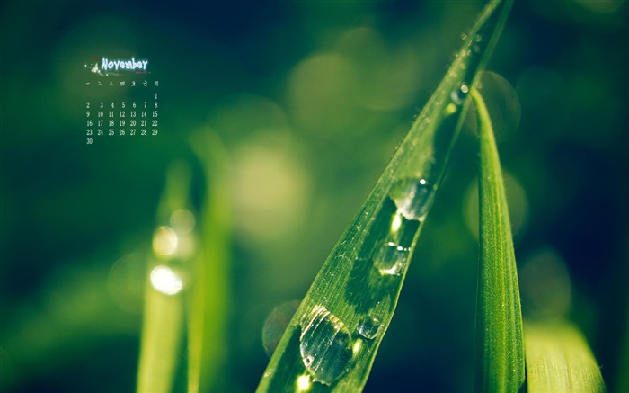 November 2015 Calendar Desktop Wallpaper 04 Views:6089 Date:2015/11/6 10:16:28