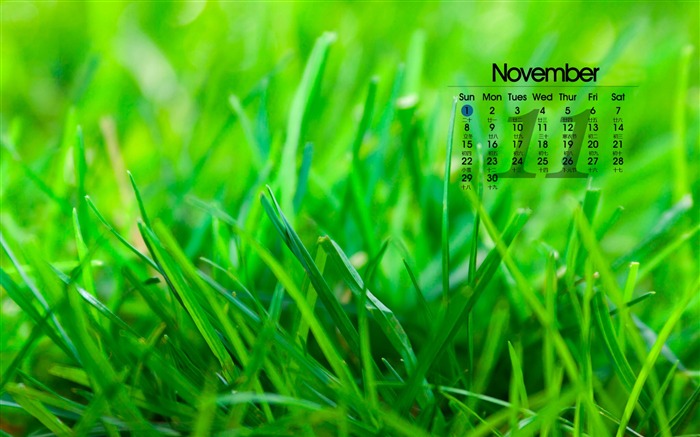 November 2015 Calendar Desktop Wallpaper 11 Views:6361 Date:2015/11/6 10:18:55