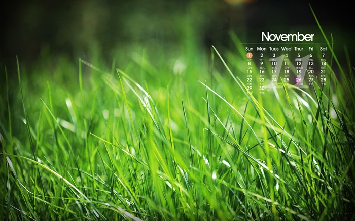 November 2015 Calendar Desktop Wallpaper 12 Views:6299 Date:2015/11/6 10:19:19