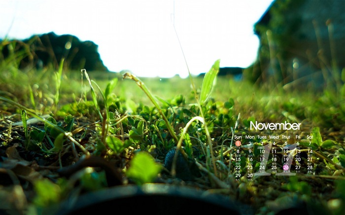 November 2015 Calendar Desktop Wallpaper 14 Views:5649 Date:2015/11/6 10:20:23