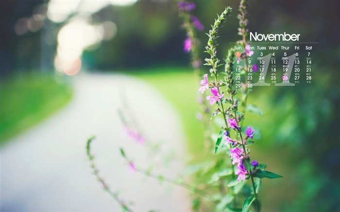 November 2015 Calendar Desktop Wallpaper 15 Views:5630 Date:2015/11/6 10:20:55