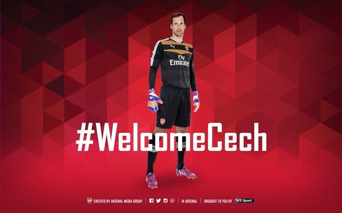 Bienvenido Cech-Football Wallpaper Vistas:7258