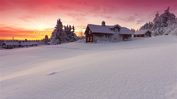 Winter nature snow dawn-2015 Landscape Wallpaper Views:8341 Date:2015/11/8 1:52:50