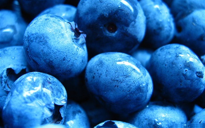 blueberries macro-HD desktop Wallpaper Views:7951 Date:2015/11/21 7:36:18