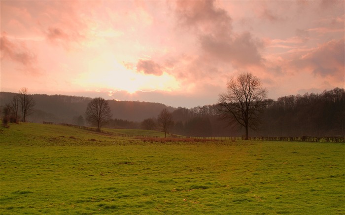 Papéis de Parede de fotografia da Primavera do por do sol Visualizações:7793