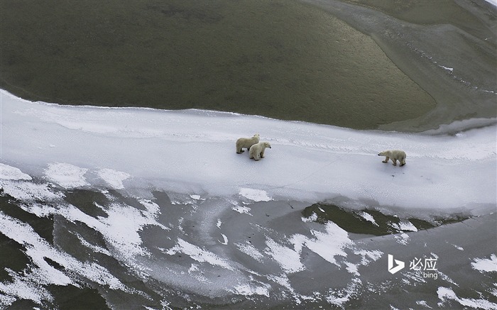 Fondo de escritorio de escritorio de Hudson Bay-Bing congelado canadiense Vistas:7043