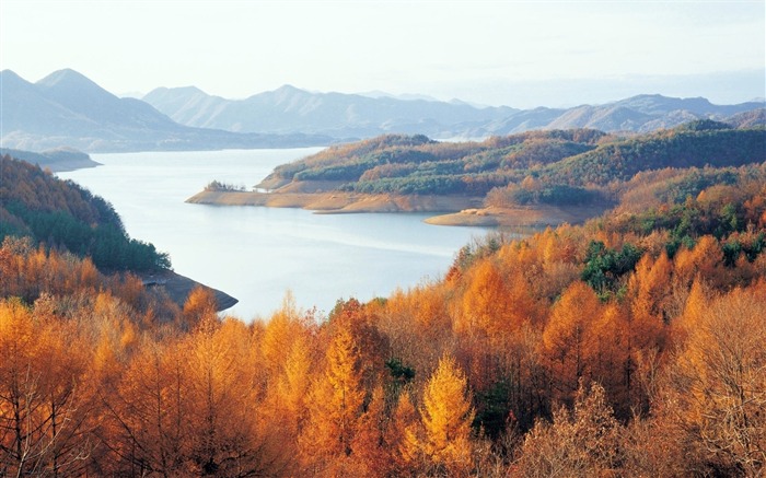 Chungjuho lac entouré de forêt rouillée-Nature Fond d'écran HD Vues:8621