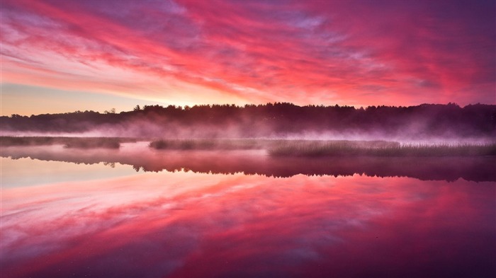 Forest trees lake sunrise mist-Nature theme wallpaper Views:9128 Date:2015/12/6 2:23:58