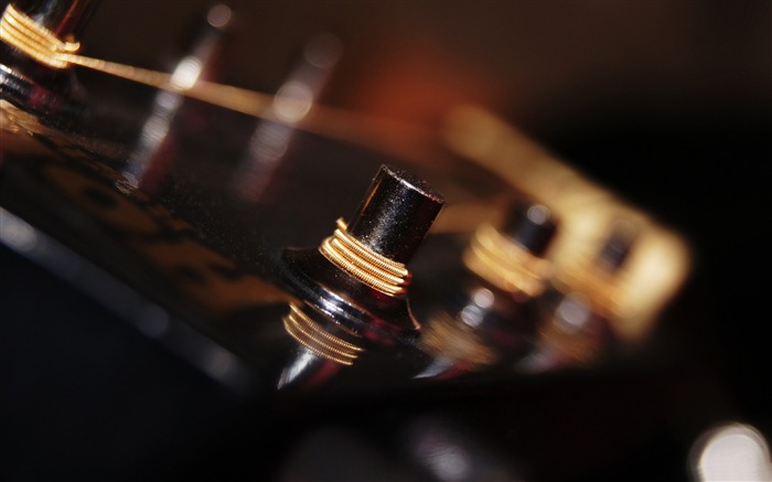 Hora musique de guitare-photographie Fond d'écran Vues:8385