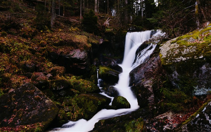 Little forest waterfall-Nature theme wallpaper Views:6843 Date:2015/12/6 3:12:09