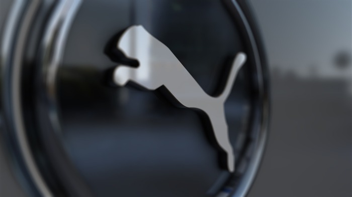 Puma 3d Brand Logo-High Quality HD Wallpaper Views:11712 Date:2015/12/26 23:19:13