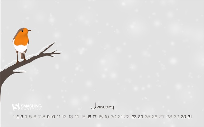 Fondo de pantalla de calendario de Robin Bird-enero de 2016 Vistas:7537