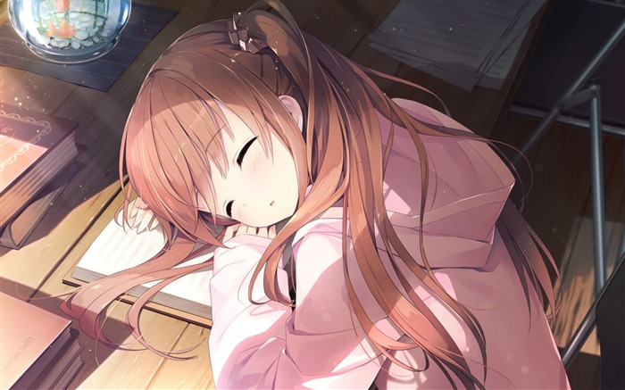 Sleeping books-Cartoon beautiful girls wallpaper Views:18654 Date:2015/12/4 22:47:46