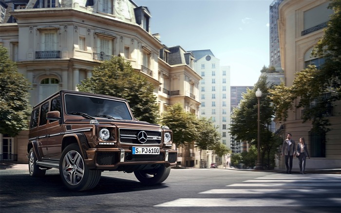 2016 Mercedes-Benz G-Class Auto HD Wallpaper 10 Views:9529 Date:2016/1/26 20:16:26