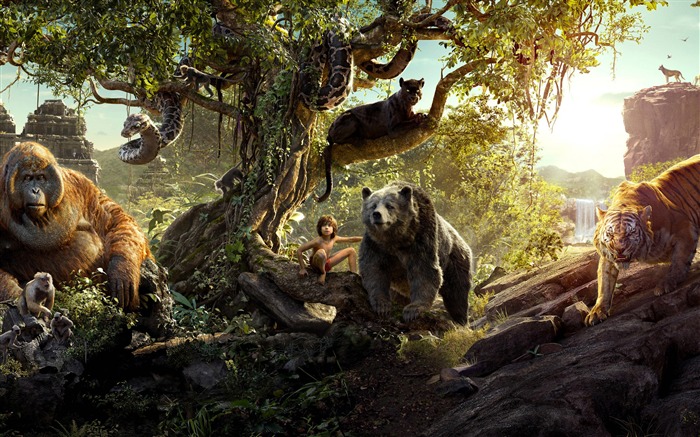 2016 奇幻森林 The Jungle Book-电影海报壁纸 浏览:7750