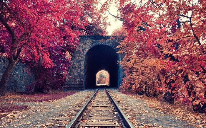 Arménia Yerevan Autumn Trees Railway-HD Desktop Wallpaper Visualizações:11219