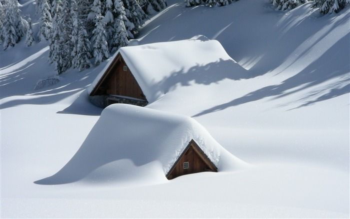 La construcción de árboles de la colina de la nieve-Nature Photo fondo de pantalla HD Vistas:7963