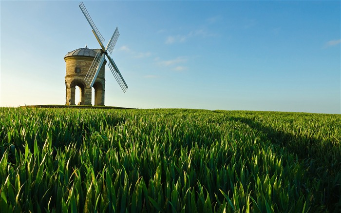 Champ Windmill Summer-Paysage HD Fond d'écran Vues:7459