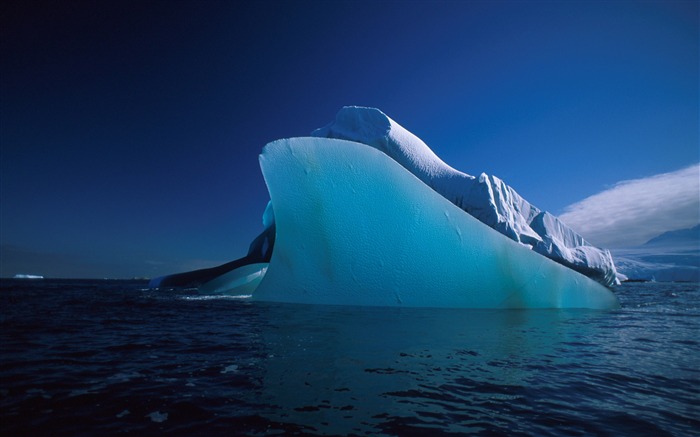 Iceberg Voyage en Antarctique-Paysage HD Fond d'écran Vues:9530