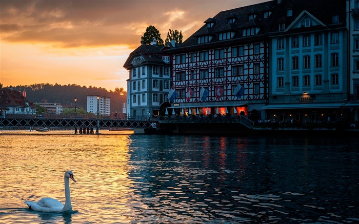 Lucerne switzerland swan-Architectural HD Wallpapers Visualizações:7692