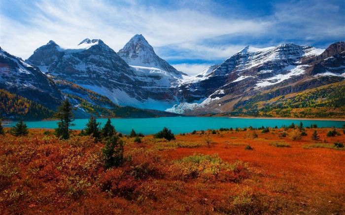 Monte Assiniboine Parque provincial-Naturaleza Foto HD Wallpaper Vistas:8553