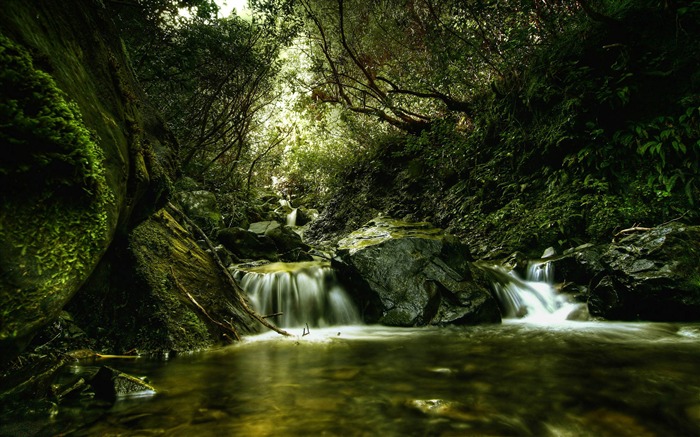 Natureza Waterfalls Creek-HD Desktop Wallpaper Visualizações:7531