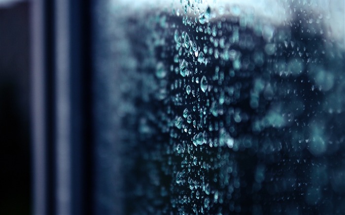 Rain bokeh drops-Macro wallpaper tema Visualizações:11128