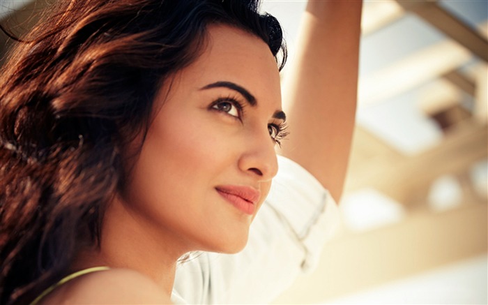 Sonakshi Sinha 2016-モデル写真のHDの壁紙 ブラウズ:8590