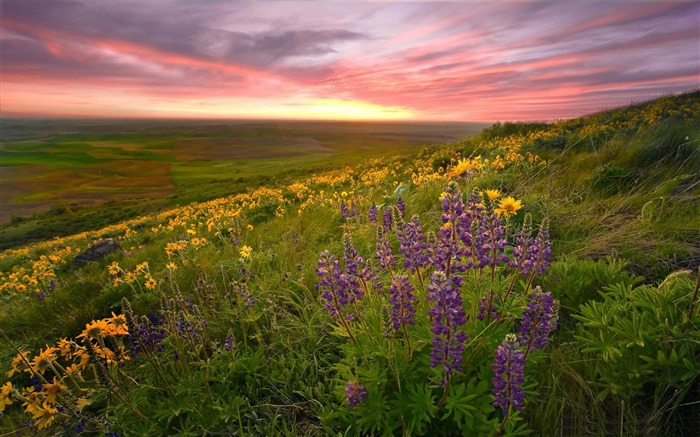 Steptoe butte palouse-HD Fondos de Escritorio Vistas:8834