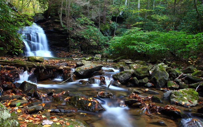 Papel de Parede de Verão Forest Creek-HD Visualizações:8563