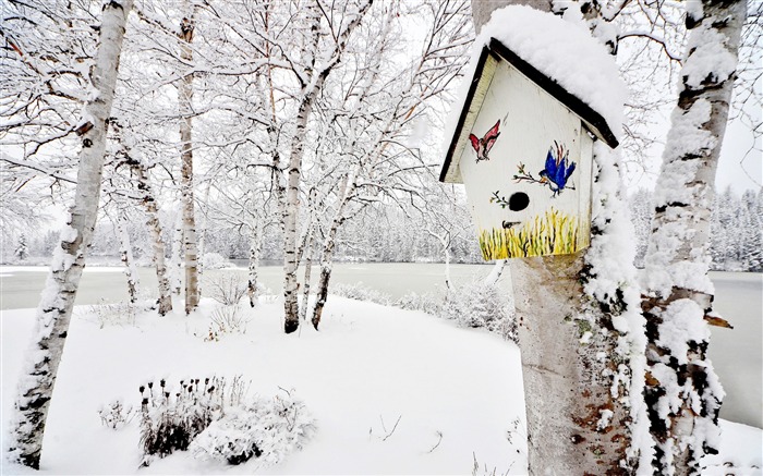 Winter Trees Snow Birch birdhouse-Landscapes HD Wallpaper Visualizações:8540