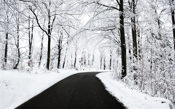 Floresta de Inverno cenário da estrada limpa-Paisagens HD Wallpaper Visualizações:12056