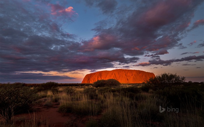 Austrália Kata Tjuta National Park-2016 Bing Wallpaper Visualizações:6498