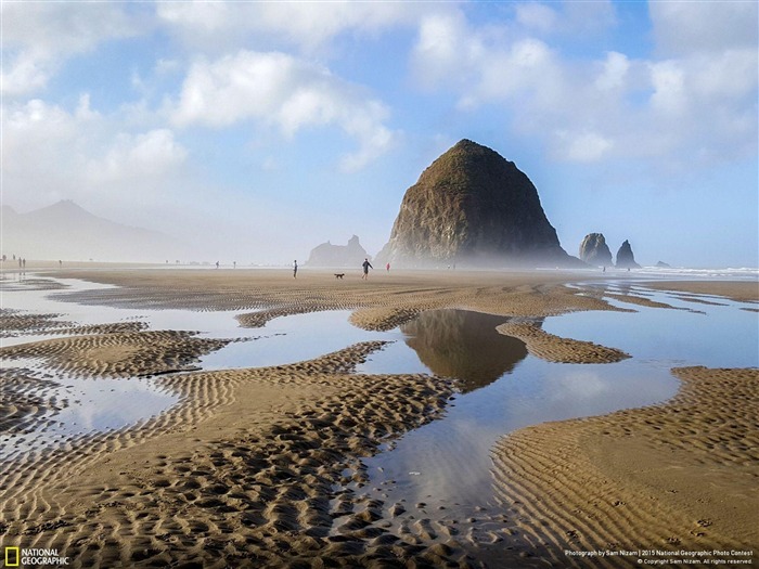 Surreal Encounters Oregon Coast-2015 National Geographic Wallpaper Views:8316 Date:2016/2/18 6:23:55