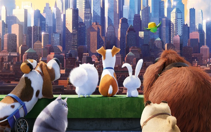 The secret life of pets-2016 Movie High Quality Wallpaper Views:9917 Date:2016/2/6 8:29:31