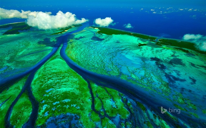 Canais de maré Aldabra Seychelles-2016 Bing Wallpaper Visualizações:7659