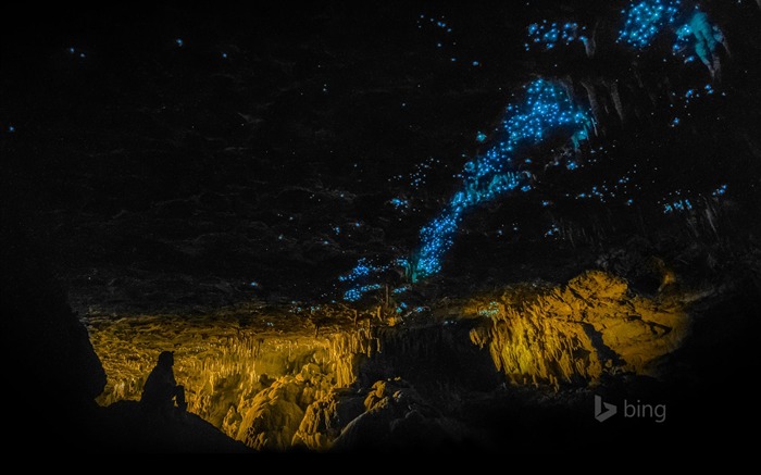 Waitomo Glowworm Caves Nouvelle-Zélande-2016 Bing Fond d'écran Vues:11328