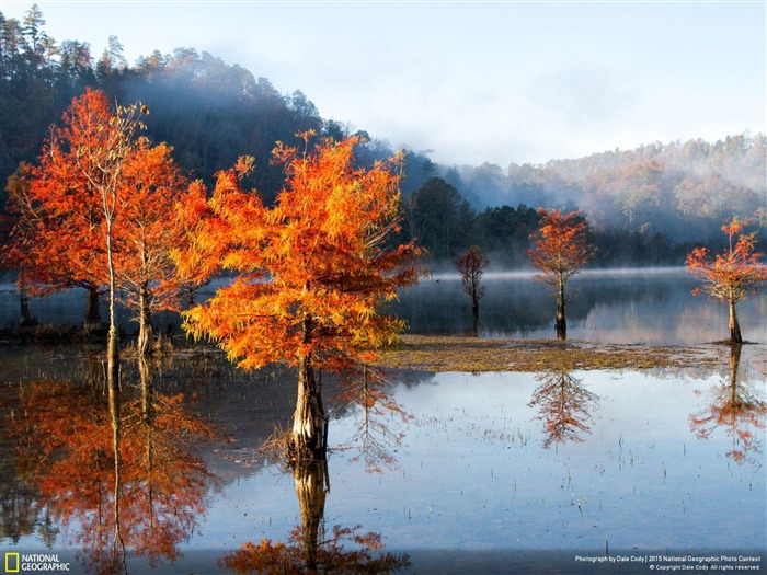 Autumn Mist on the Ocoee River-National Geographic Photo Wallpaper Views:9398 Date:2016/3/19 1:39:50