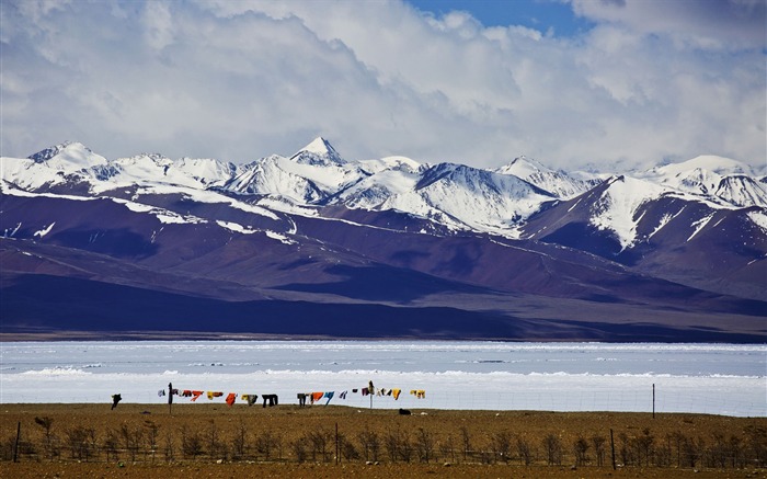 Beautiful Heaven Tibet Nature Scenery HD Wallpaper 16 Views:7348 Date:2016/3/24 9:28:22